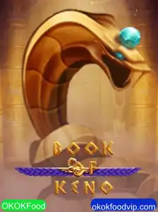Explorando o Mundo de BookOfKeno: Regras e Estratégias para Jogar
