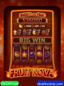 Explorando o Universo de FruitNova e Seu Impacto no Mundo dos Jogos Digitais